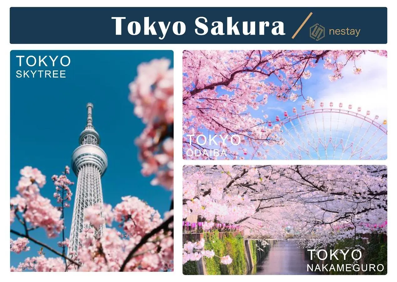 Nestay Inn Tokyo Otsuka 103 アパート